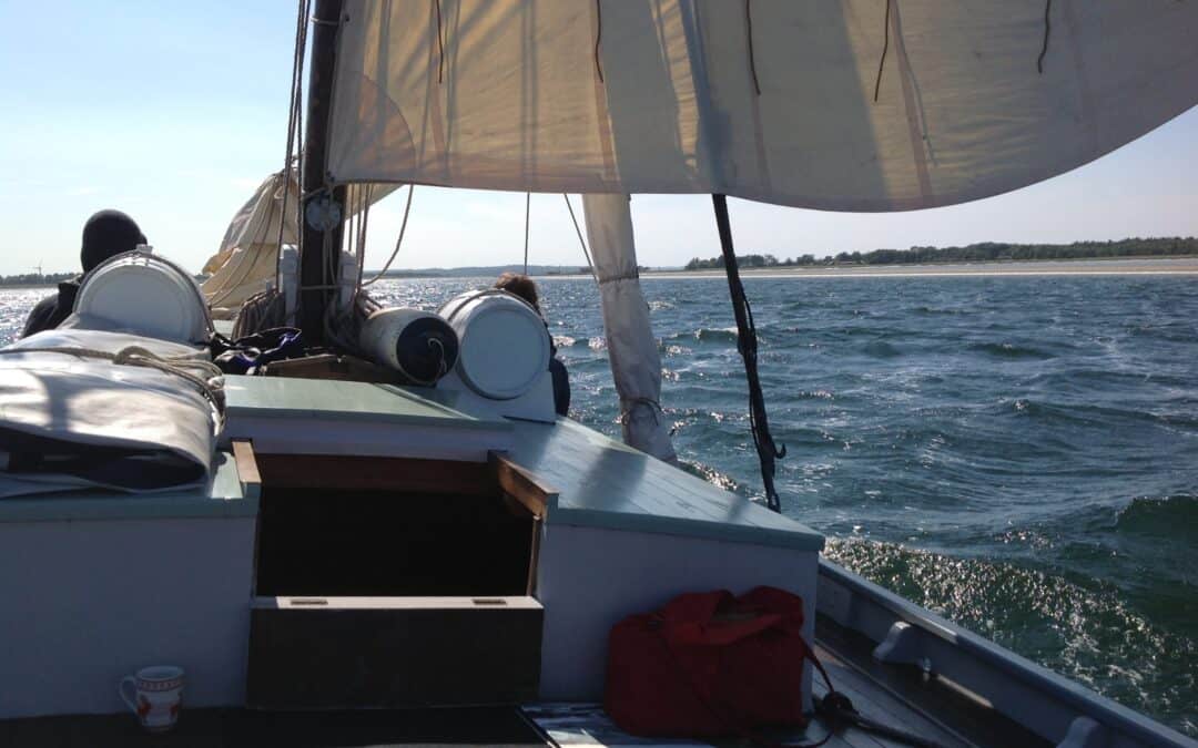 Rylens sommertogt 2026